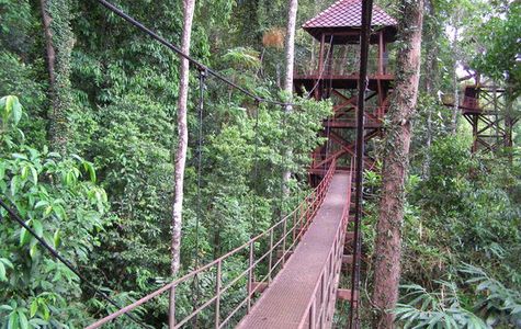 Thung Khai Botanical Garden 1