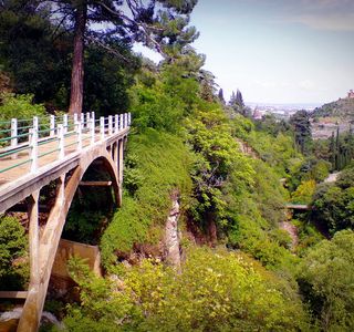 National Botanical Garden of Georgia