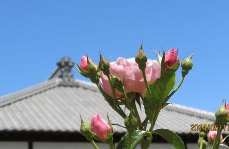 Kakyu no Sato