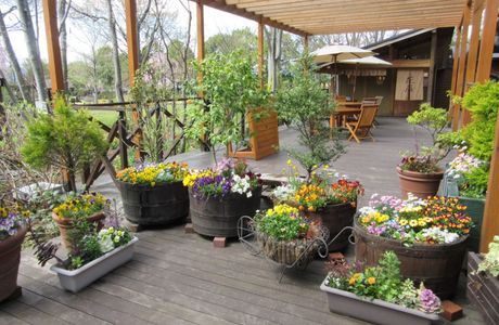 Floral Garden Obuse