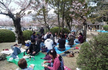 Kono Park