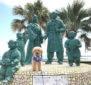 Miyakoh Botanic Garden Aoshima