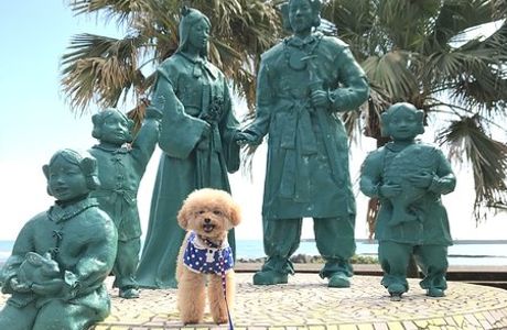 Miyakoh Botanic Garden Aoshima