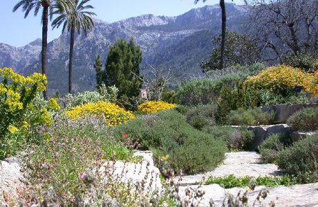 Jardi Botanic de Soller