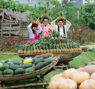 Thung Lung Hoa Phu Quy