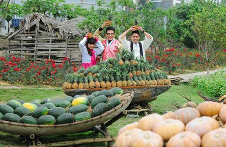 Thung Lung Hoa Phu Quy