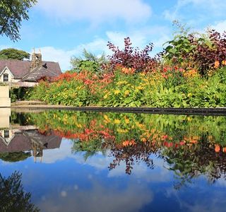 June Blake's Garden