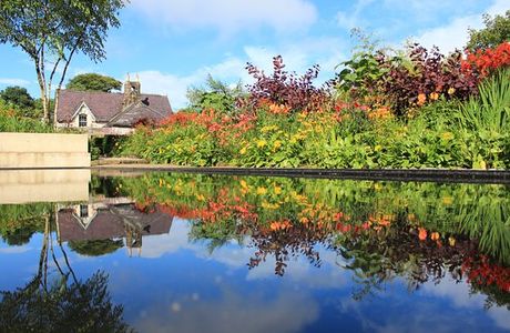 June Blake's Garden