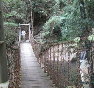 Mt. Guishan Wildwoods