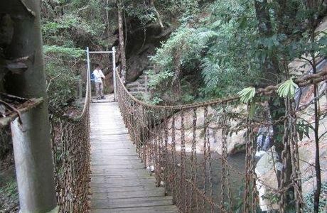 Mt. Guishan Wildwoods