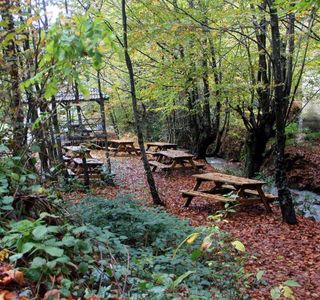 Zonguldak Kent Ormani