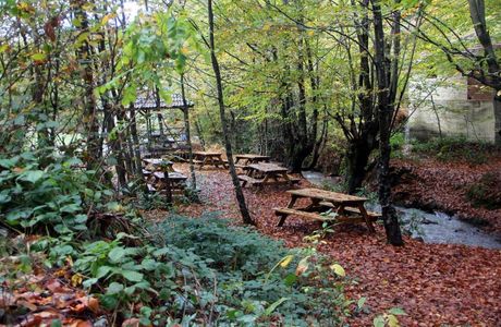 Zonguldak Kent Ormani