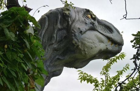 Rye-assic Adventure Park