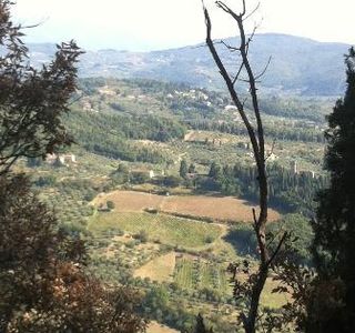 Tree Experience - Parco Avventura Vincigliata