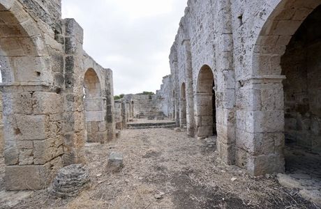 Aphendrika