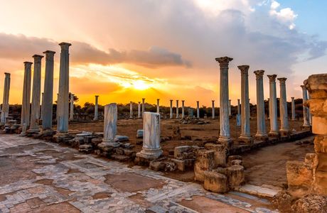 Salamis