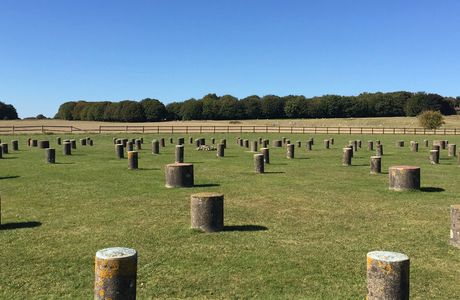 Woodhenge