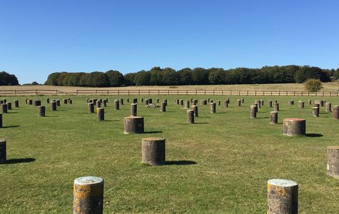 Woodhenge 1