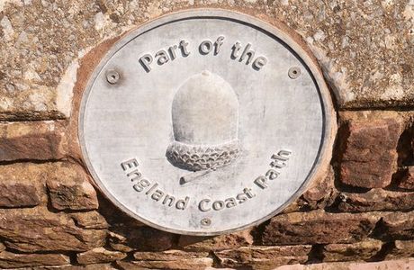 South West Coast Path - Culver Cliff Woodland Walk