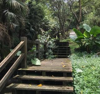 Dabilasih Trail