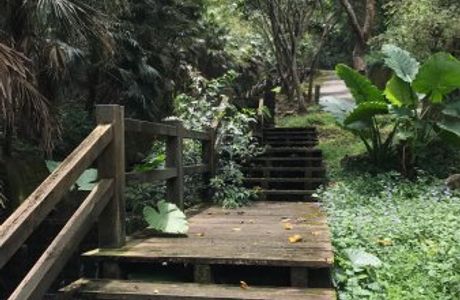Dabilasih Trail