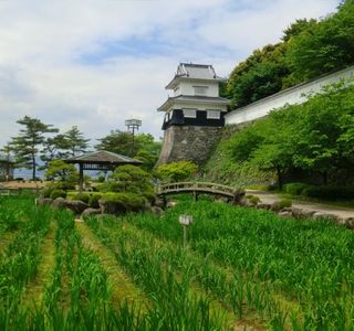 Kushimajo Castle Site