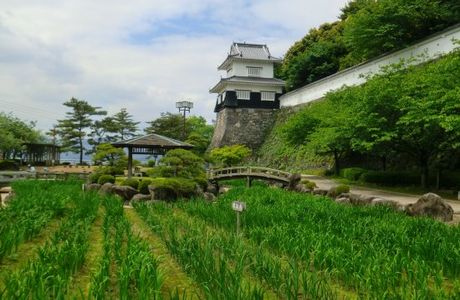 Kushimajo Castle Site