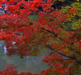 Yujaku Park