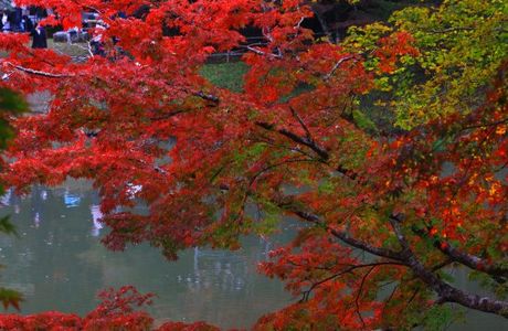 Yujaku Park