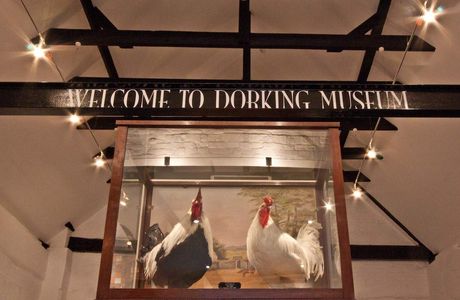 Dorking Museum and Heritage Centre
