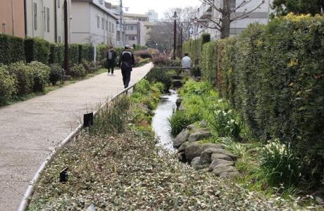 Karasuyamagawa Green Road