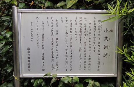 Kumano Moude Oguri Way