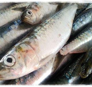 Pescados La Chucha