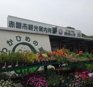 Wakahimeno sato
