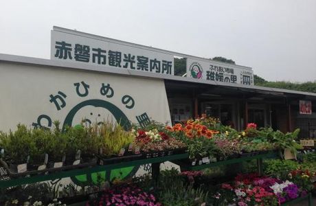 Wakahimeno sato
