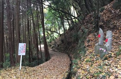 Yata Hill Promenade