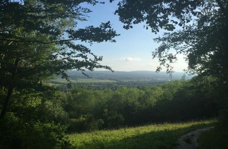 North Downs Way National Trail