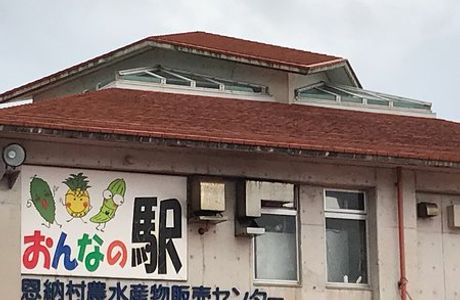 Onna Station Nakayukui Market