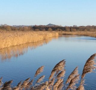 Somerset Levels and Moors Wetland