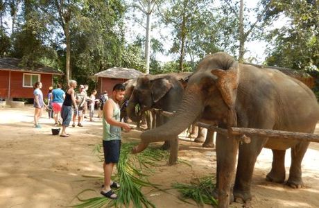 Elephant Nature Park