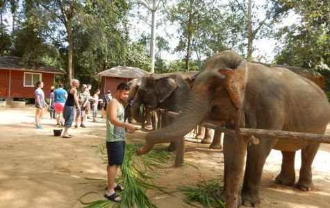 Elephant Nature Park 1