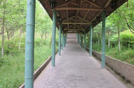 Zhongnan Baicao Garden