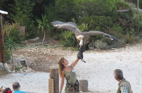 Garden of Eagles (Jardin de Las Aguilas)