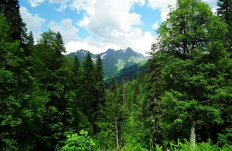 Alpine Meadows of Abkhazia