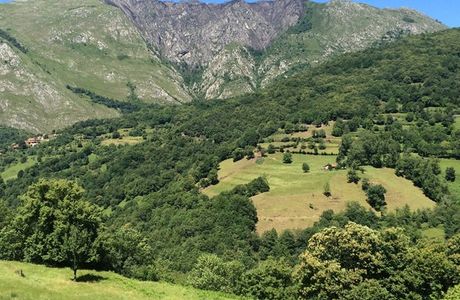 Parque Natural de Ponga