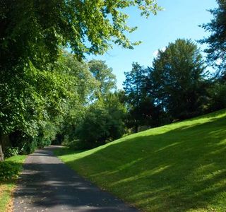 Brandon Hill Nature Park