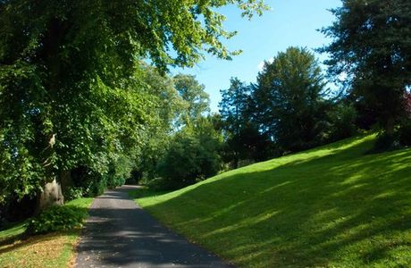 Brandon Hill Nature Park