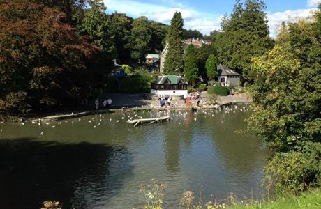 Ornamental Gardens