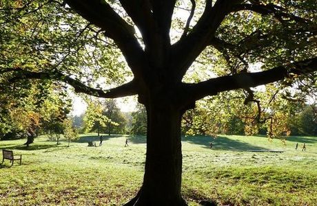 Wandlebury Country Park and Nature Reserve