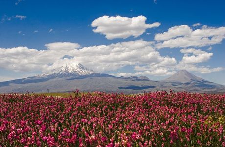 Agri Dagi Milli Parki